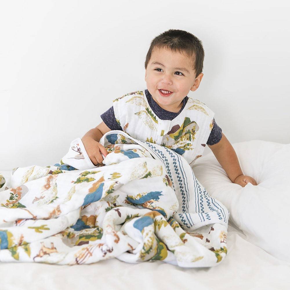 Wyoming Western Stripe Premium Cotton Snuggle Blanket Bebe au Lait